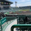 さてさて　甲子園の阪神対広島？？？