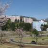 2018.04.21 越後湯沢の桜とぽんしゅ館