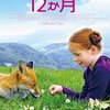 きつねと私の12か月（Le Renard et l'Enfant）