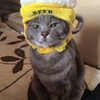 バレンタイン？