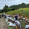 芋ほり遠足（年長組）