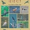 松山城山探鳥会＆お堀の探鳥＆散歩での探鳥