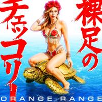 ORANGE RANGE「裸足のチェッコリー」歌詞意味とその魅力を解き明かす