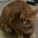 SIerの元SEが異業種に転職したら医療系情シス部だった件