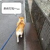 ゴールデンウィーク前にキレイにしましょう。