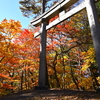 錦秋の中山道木曽路 鳥居峠