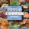 ウミウシ232種掲載「ウミウシの生態観察図鑑」