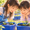 「5つ全部出た！」小3双子のホウセンカ観察が始まりました