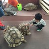 須磨水族園