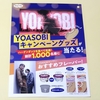 【懸賞情報】ハーゲンダッツジャパン YOASOBIキャンペーングッズが当たる！