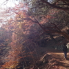 【親子登山】大岳山を登ってきた　‐初めて父子だけの登山‐