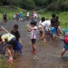 川の生きもの探検　in 羽地ダム鯉のぼり祭り　2016　