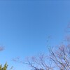 学研やめました。
