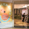 国立科学博物館企画展「花粉と花粉症の科学」花粉を学び花粉シーズンを乗り切る！