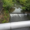 緑あふれる