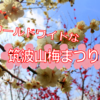 【勝手につくばツアー第４弾】今年の梅まつりもすごかった！ここで大使がまさかの本物に…【筑波山梅まつり】