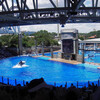  Sea World