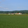 初夏の田園