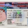 Use of Fake Driving Licenses Increases in the US