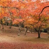 麓城跡の紅葉