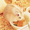 ちびとわたしと。