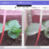 WPF、スクロールバーの同期、2つの画像を並べて拡大して見比べたい、ScrollViewer