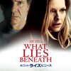 【午後ロー感想】映画ホワット・ライズ・ビニース～「What lies Beneath」