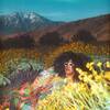 Brittany Howard / What Now
