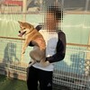 Ｊ１の歴史が変わる2025岡山と清水が参戦