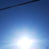チューの成長日記⑧190319