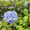 久しぶりすぎて