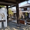 🌏#13 埼玉県飯能 前編 〜神社・仏閣と初心者向け登山～