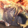 【MHWアイスボーン】眠ったモンスターの起こし方