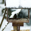 上雪（かみゆき）ですね。