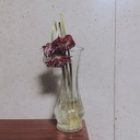 枯れない