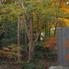 繖(きぬがさ)紅葉公園の秋(東近江市五個荘)