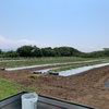 雨、降るやん