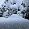 大雪にめげる　そして青空に助けられる