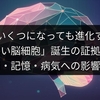 脳はいくつになっても進化する！「新しい脳細胞」誕生の証拠発見、学習・記憶・病気への影響は？