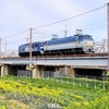 第3375列車　「　EF210-160のムド付き8865レを狙う　」