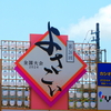 第71回よさこい祭り点描：第26回よさこい全国大会