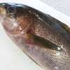 旬の魚料理・応用講座・６月実習・イサキ・岩ガキ