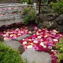 uraset’s blog