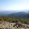 泉ヶ岳（山頂の途中まで）