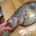 頭がイカレそう