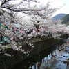 ＦＰ 金峯山寺・蔵王堂に行こう！（2019年03月30日）