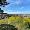 富田茶臼山古墳　香川県さぬき市大川町富田中