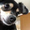 まろにー1122日目