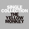 ランミュージック　THE YELLOW MONKEY　熱帯夜