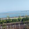 歩きスマホで大阪の地べたに倒れる(>_<)